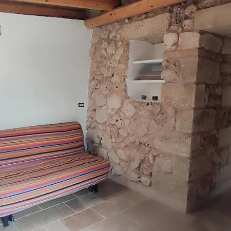 Pajara Li Pipili *